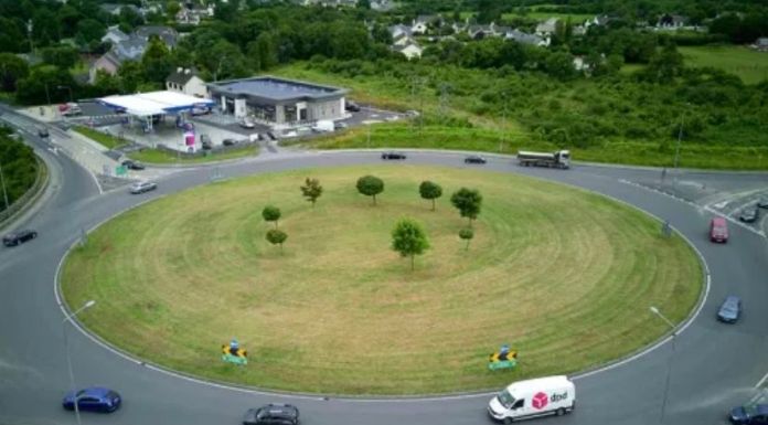 Grass And Vegetation On Ennis Roundabouts Reportedly Causing Road Safety Issues