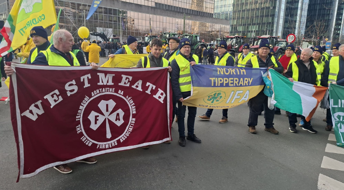 Clare IFA Chair Joins Thousands Protesting Against Mercosur Deal In Brussels - News % Clare FM
