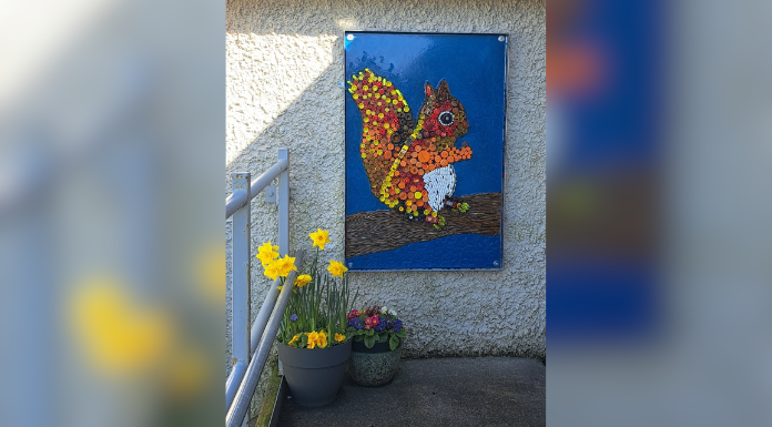 Science Meets Creativity In Hands-On Environmental Project At Clooney NS