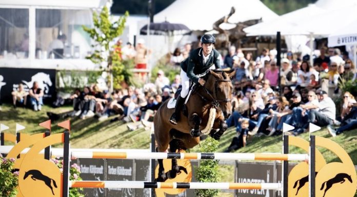 Ennis Man Claims Silver Medal At European Showjumping Championships