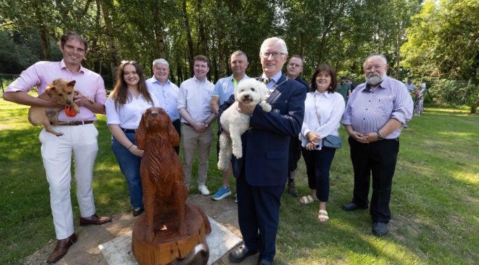 Additional Clare Public Dog Parks Expected In Near Future
