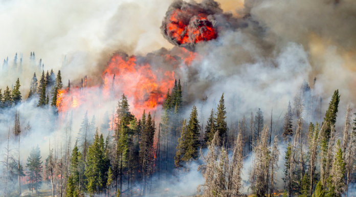 Clare Travel Counsellor Assures Holidays Can Be Salvaged Amid Europe Wildfires