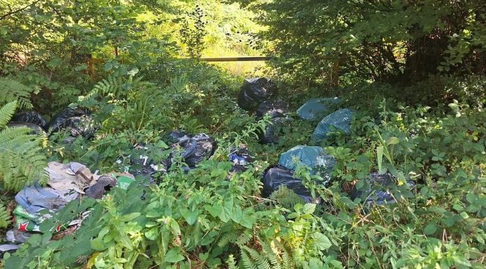 Outrage Over Large Scale Illegal Dumping At Mooghaun Forest