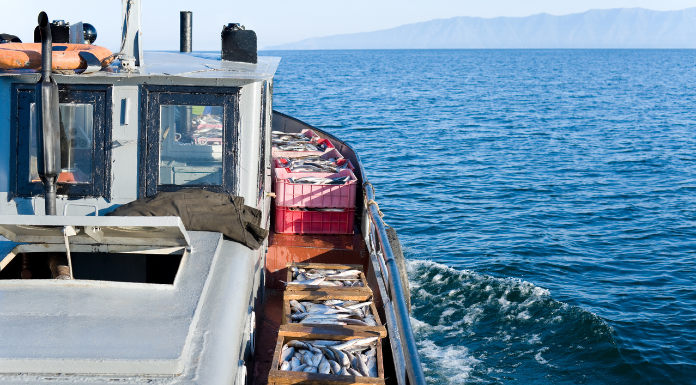 Clare Minister Concerned Over Lack Of Youth Entering Fishing Industry