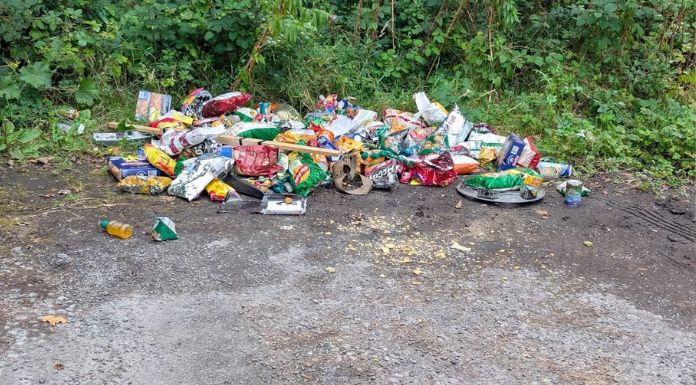 Frustrations Raised Over Delays To CCTV Implementation Following Illegal Dumping Incident In Ennis