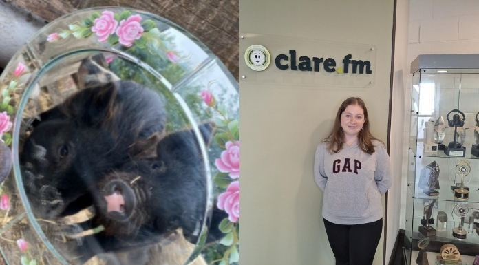 Clare Zoology Student Develops Welfare Project To Improve Lives Of Captive Animals