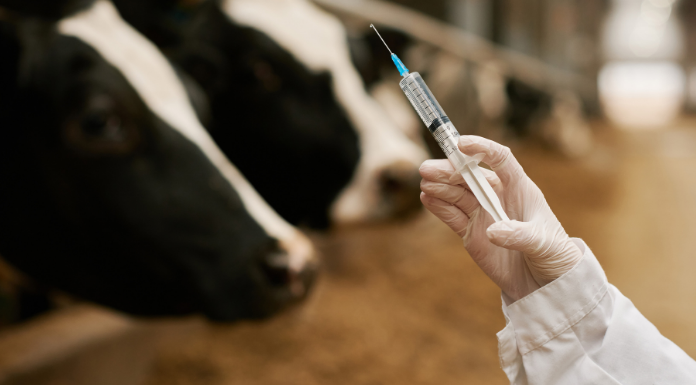 Calls For Increase To TB Compensation As 987 Clare Herd Restrictions Imposed Since 2021