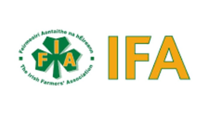 1019-ifa