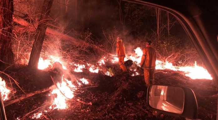 Australian wildfires, Carney's Creek, Queensland. Picture: Trevor Lenihan