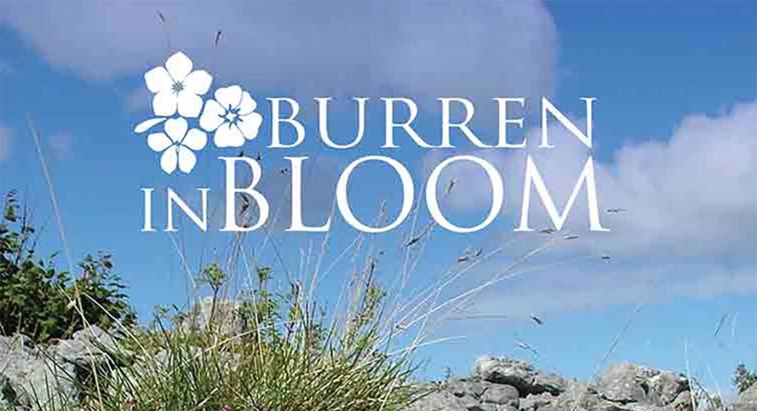 Burren in Bloom