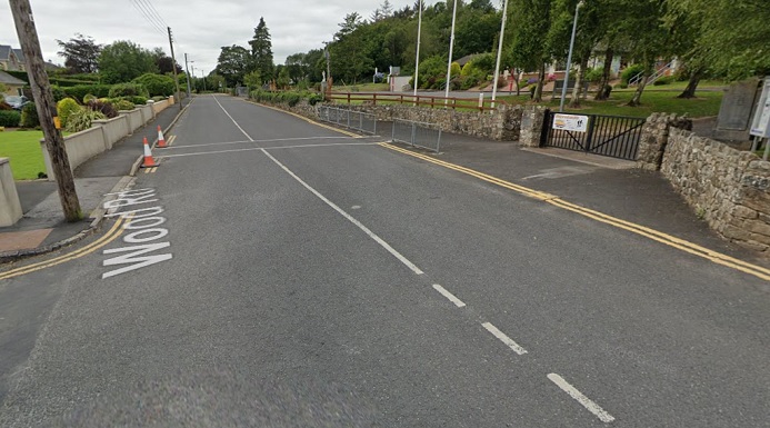 Wood Road Outside St. John's National School, Cratloe, where there are calls for a crossing to be implemented (Image: Google Maps)