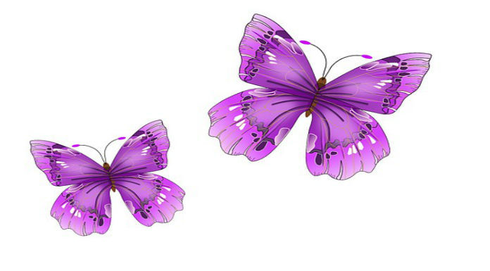 dementia-butterflies