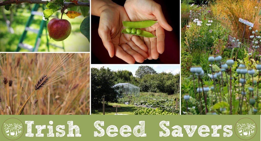 Irish Seed Savers Web