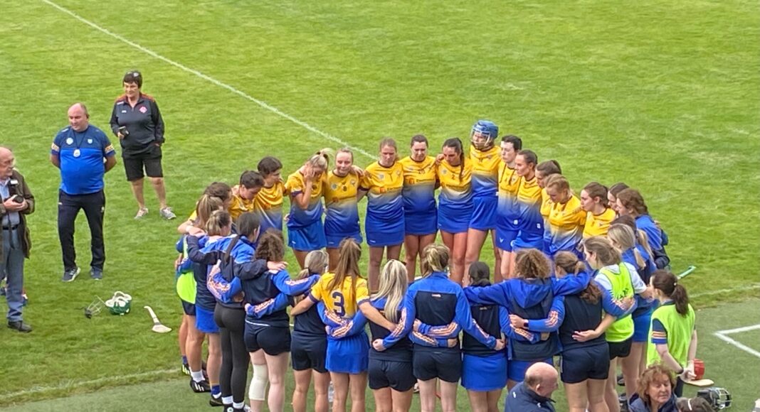 Clare Camogie squad after their championship loss to Cork. Pic (c) Clare FM