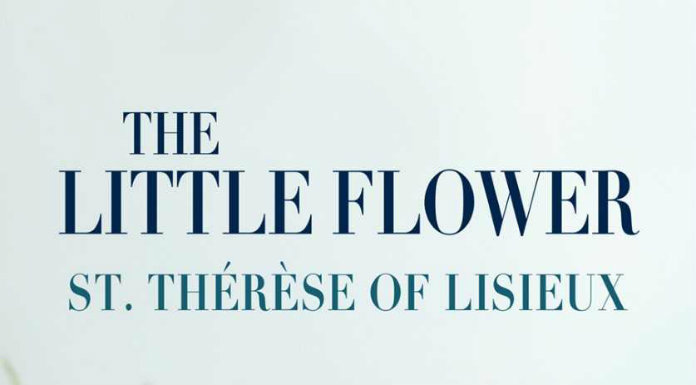 the-little-flower