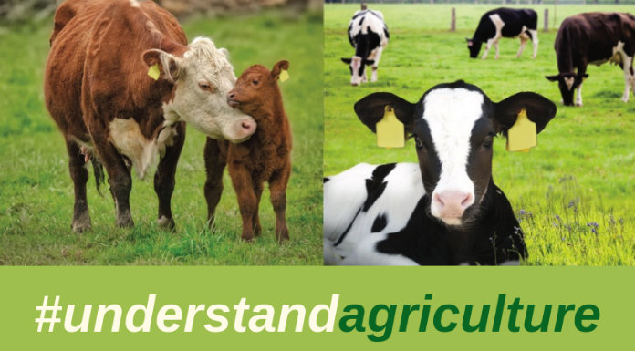 understand-agriculture-resized